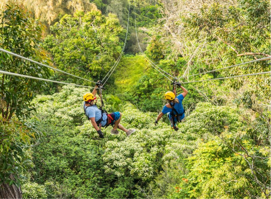 Kohala Zipline Go Hawaii