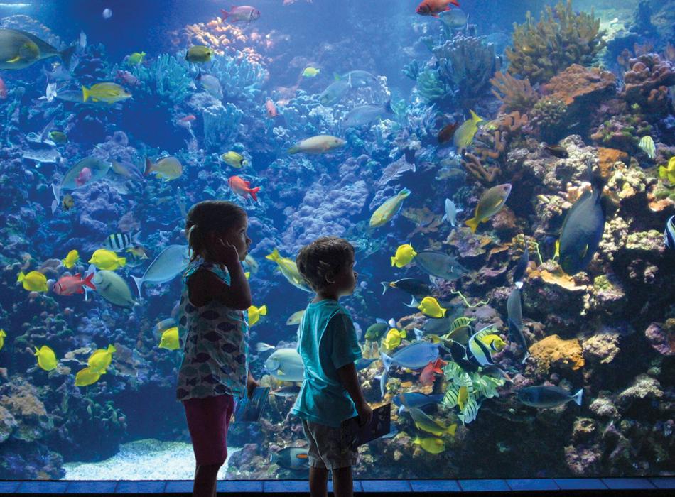 Maui Ocean Center Go Hawaii