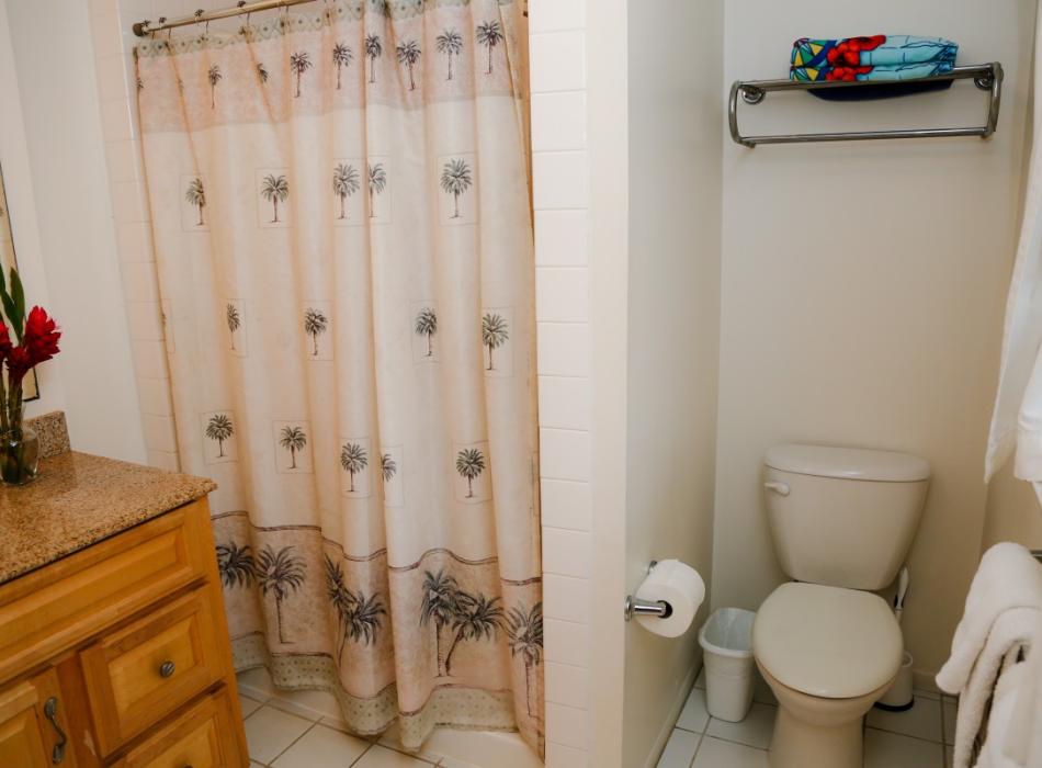 Pillows In Paradise Go Hawaii