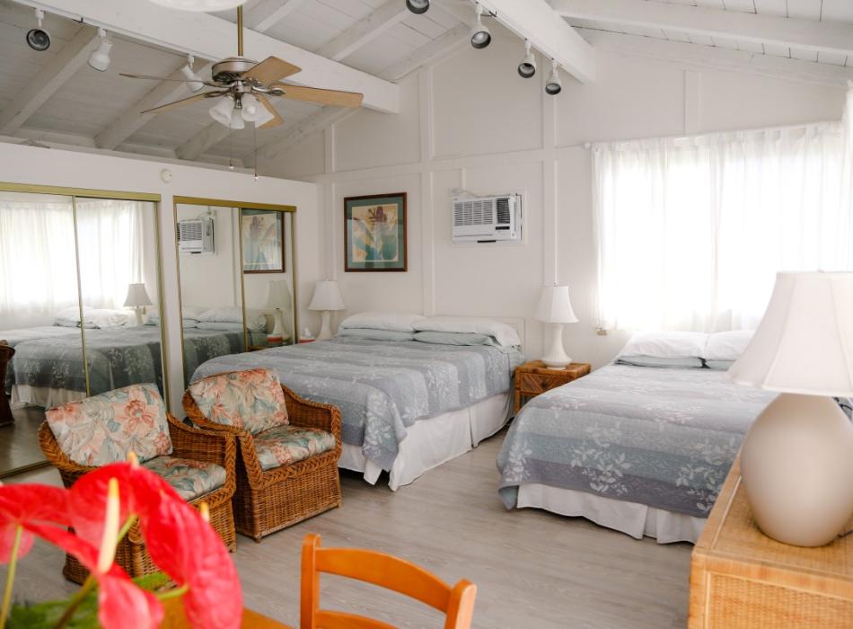 Pillows In Paradise Go Hawaii