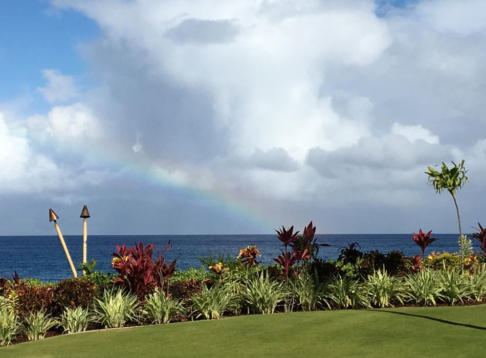 Pleasant Holidays Go Hawaii