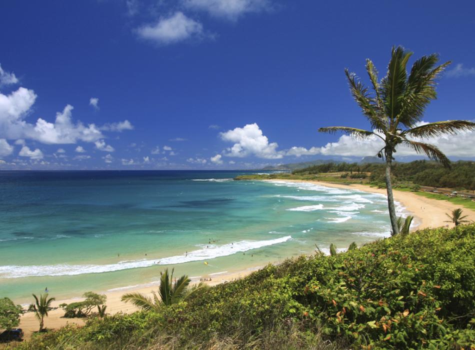 Royal Coconut Coast Association Go Hawaii