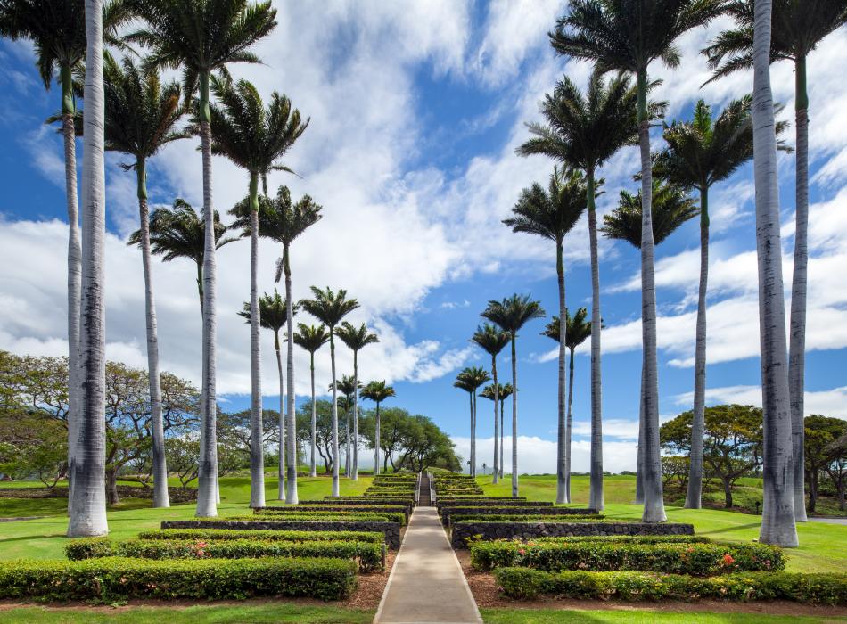 The Westin Hapuna Beach Resort Go Hawaii