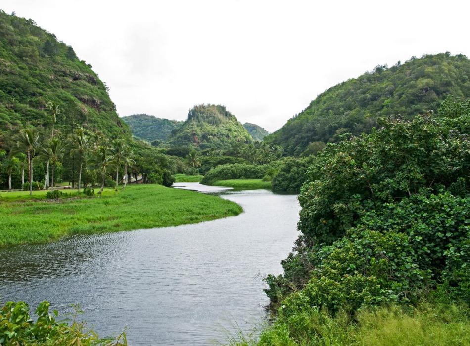 Waimea Valley Go Hawaii