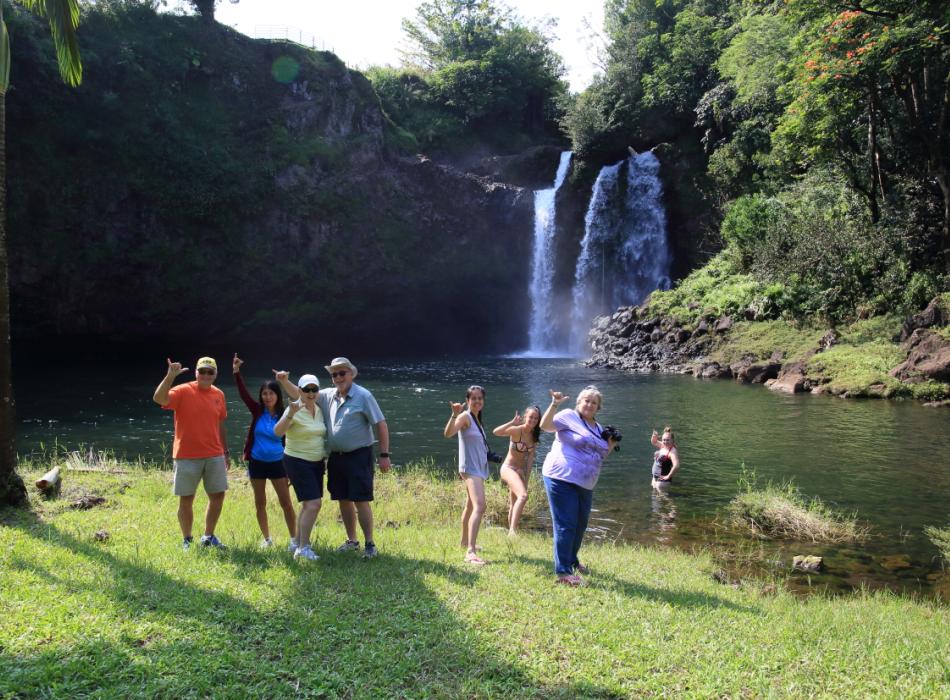 wasabi tours hawaii