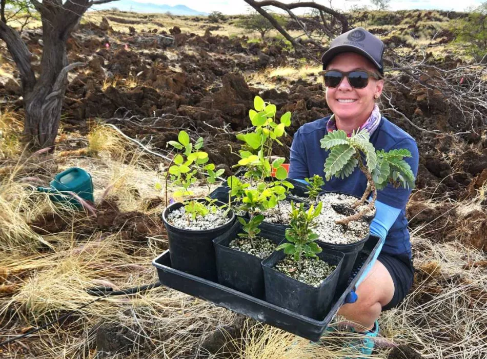Planting natives at Waikōloa Dry Forest Preserve