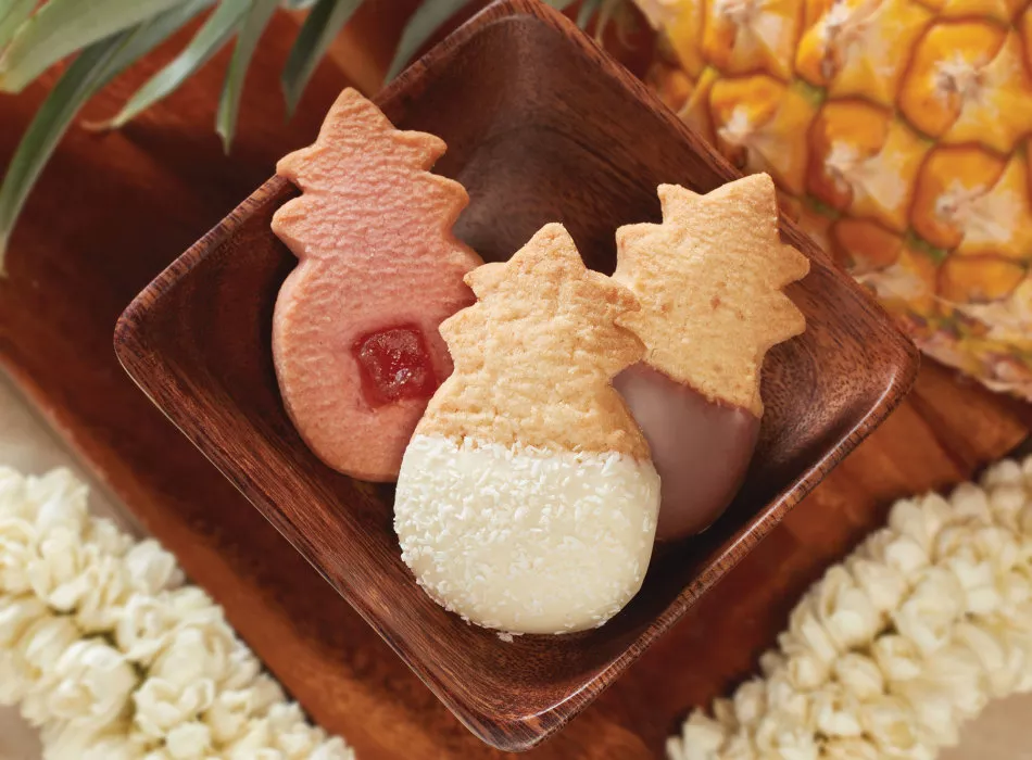 Tommy bahama cookies on sale