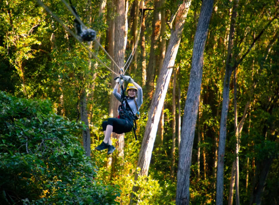 Kohala Zipline | Go Hawaii