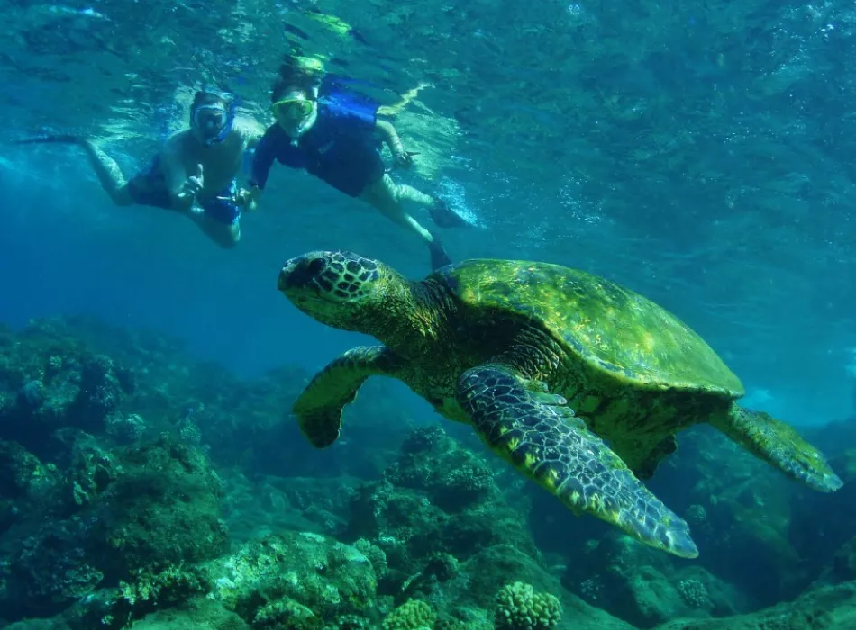 Aloha Hawaii Tours | Go Hawaii
