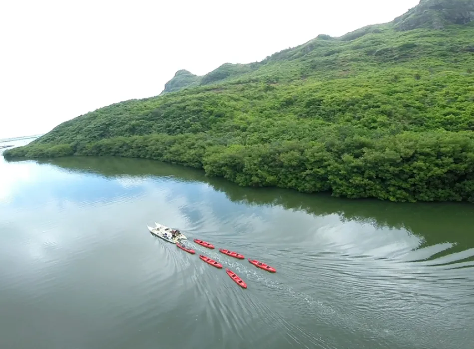 Paddle downwind, return by motorized canoe with Outfitters Kauai