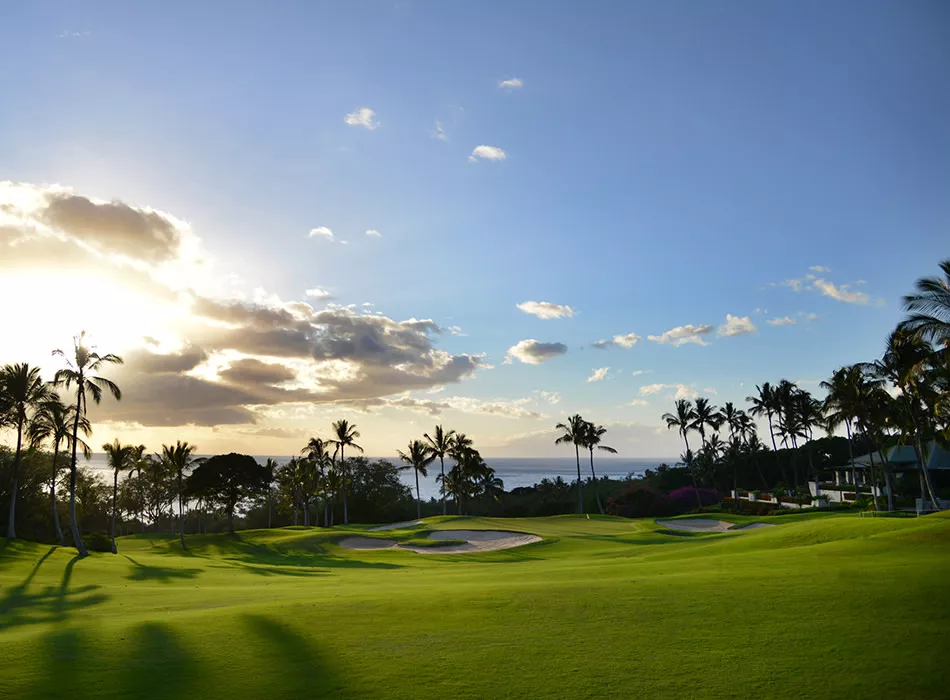 希少！90sヴィンテージ Imperial Wailea Golf Course 希少！90sヴィンテージ Imperial Wailea Golf Course