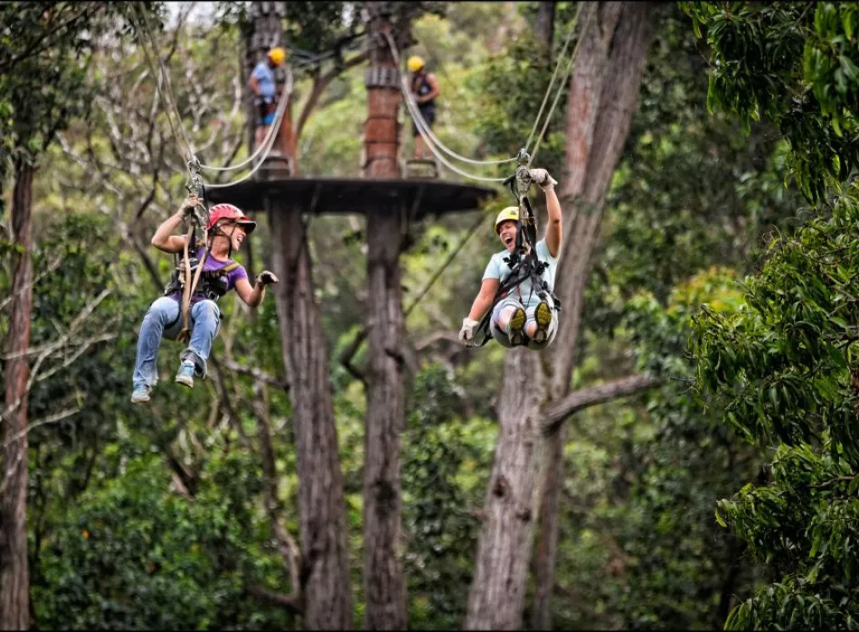 Kohala Zipline | Go Hawaii