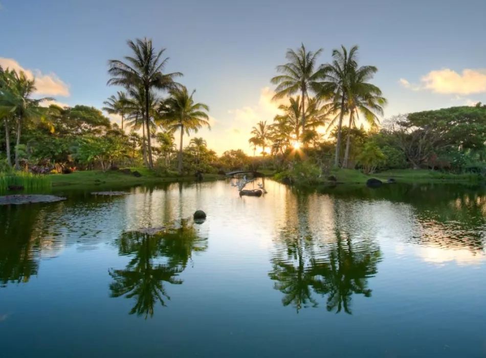 Aina Kai Botanical Gardens: Explore Nature's Paradise