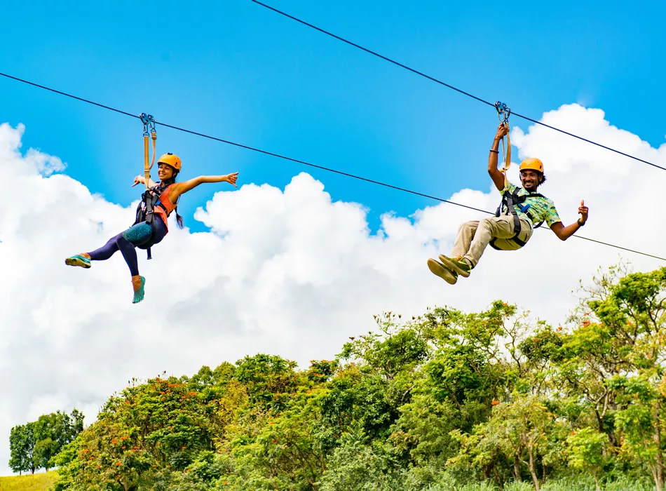 botanicalさま MonsteraX Auctions | Anthurium tezula red crystallinum