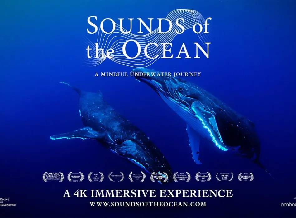 Embedded thumbnail for Sounds of the Ocean