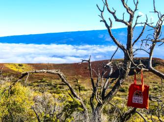 Discount Hawaii Car Rental Island Of Hawaii Go Hawaii