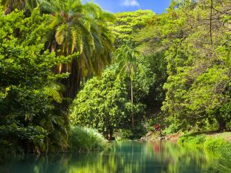 gardens kauai mcbryde garden allerton botanical tropical national parks hawaii lawai stream