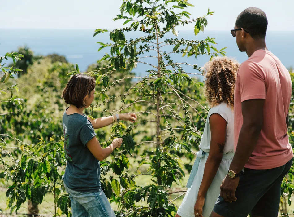 Couple on a tour of a coffee farm on the island of Hawaiʻi