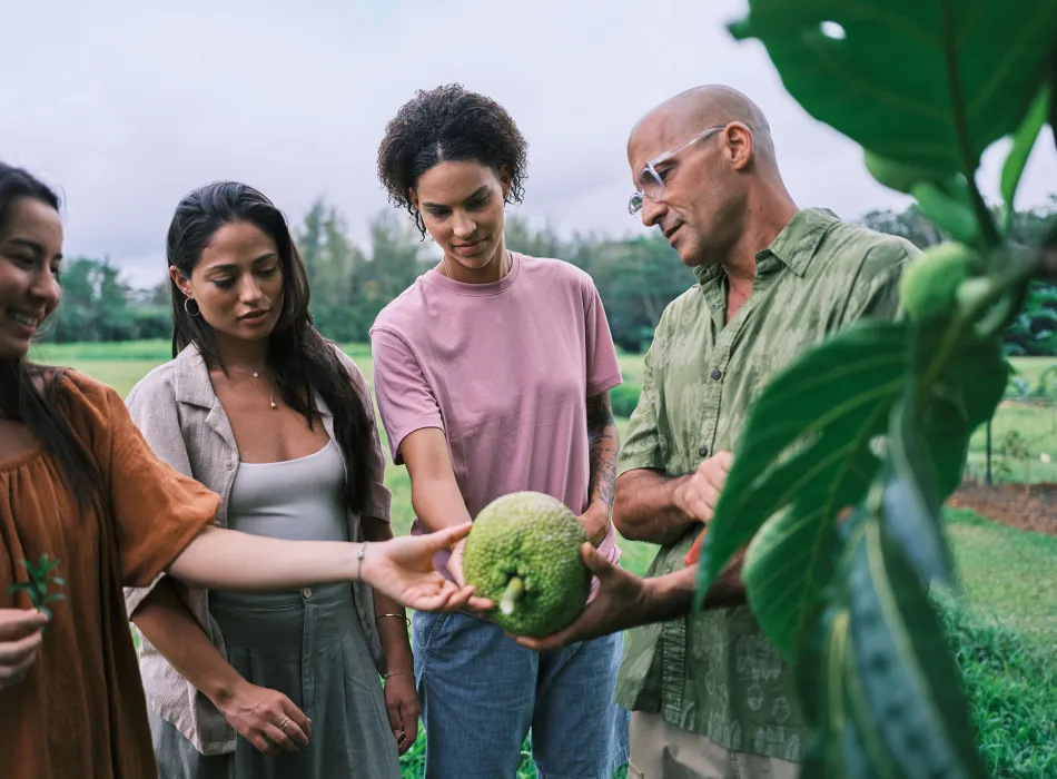 Guide shows visitors a breadfruit on a farm tour on Kauaʻi in Hawaiʻi 