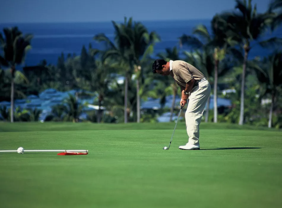Golfer putting on a lush green course surrounded by palm trees with an ocean view in the background.