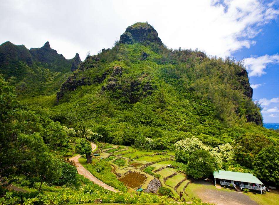 Limahuli garden