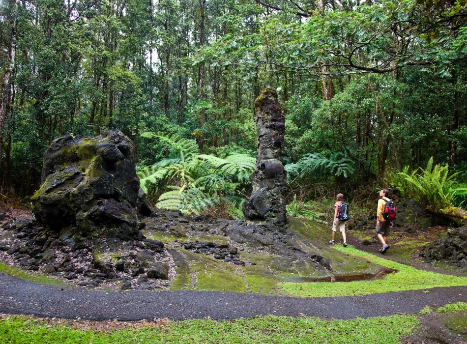 Hikers walking past towering lava tree molds surrounded by dense forest and lush greenery at Lava Tree State Monument.