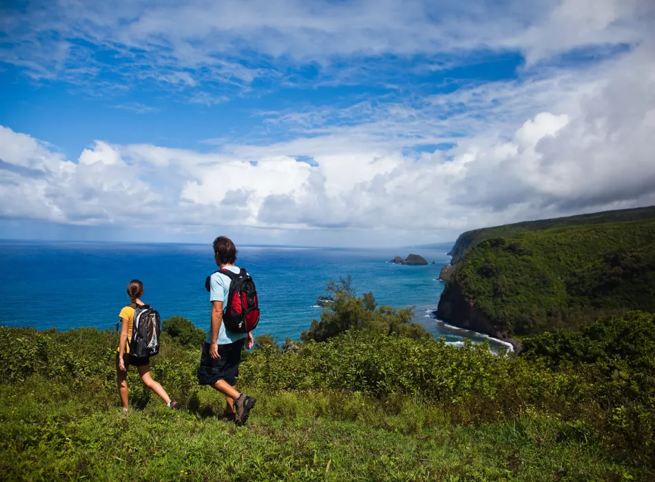 A lush green coastline with two hikers walking through tall grass. The ocean stretches out below cliffs under a bright blue sky with clouds.
