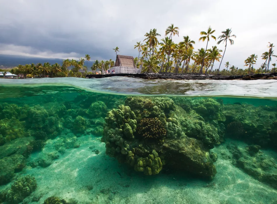 Underwater view of coral reefs with a seaside historical park, palm trees, and a thatched structure in the background.