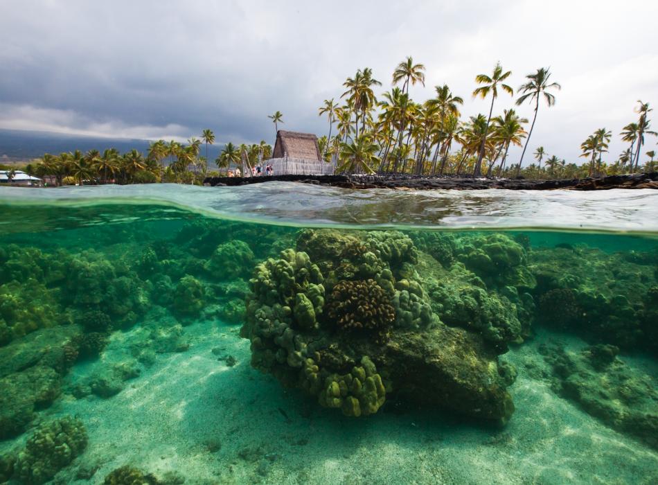 Puuhonua o Honaunau