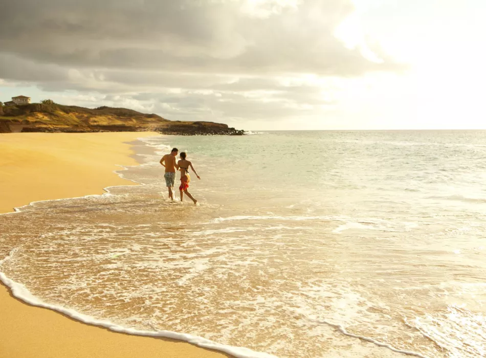 Two people walking along a sandy beach with gentle waves.