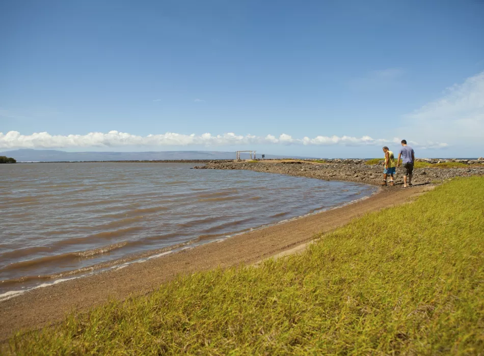 Hawaiian Fishponds