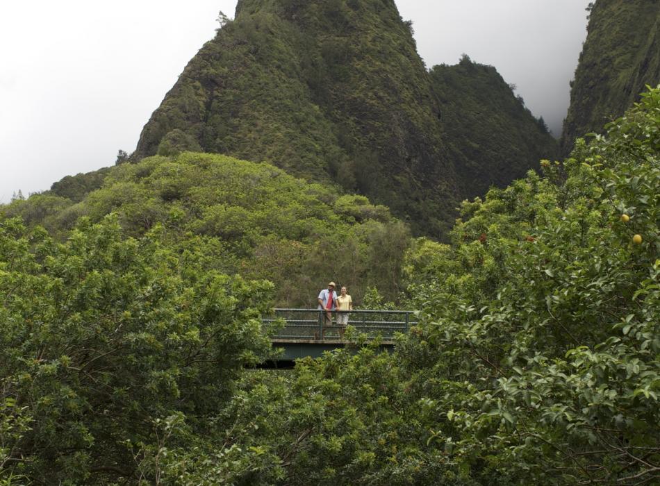 Iao Valley State Park