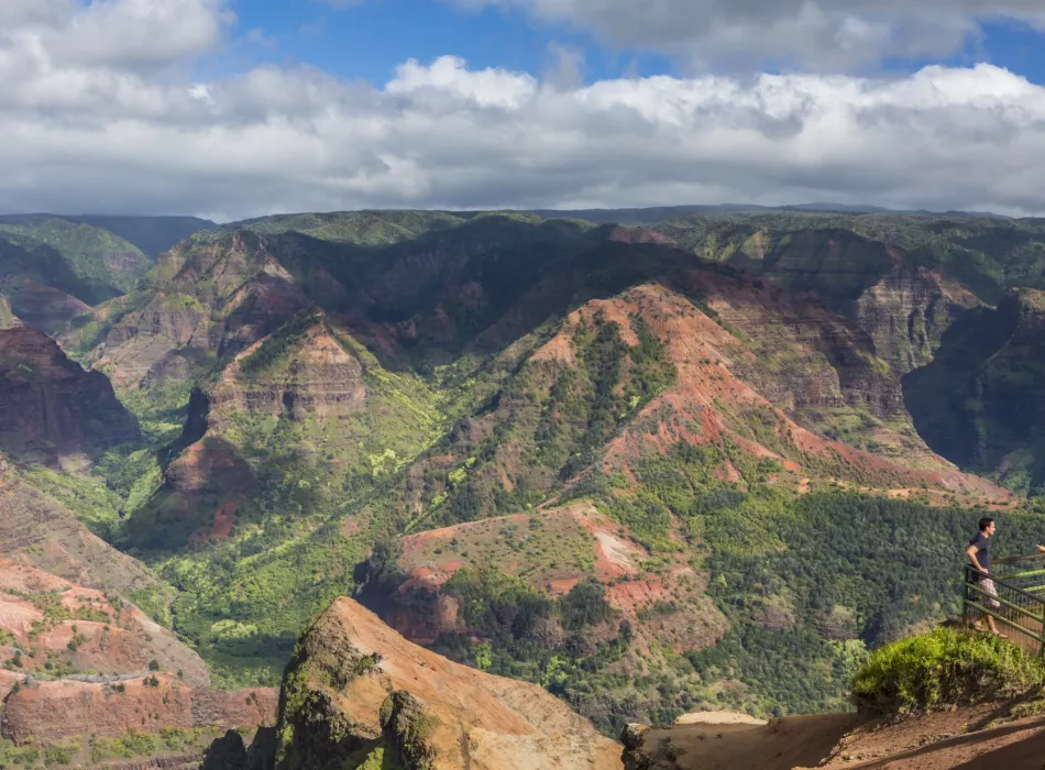 A scenic view of Waimea Canyon's vibrant red and green cliffs, with a visitor enjoying the landscape from a lookout point.