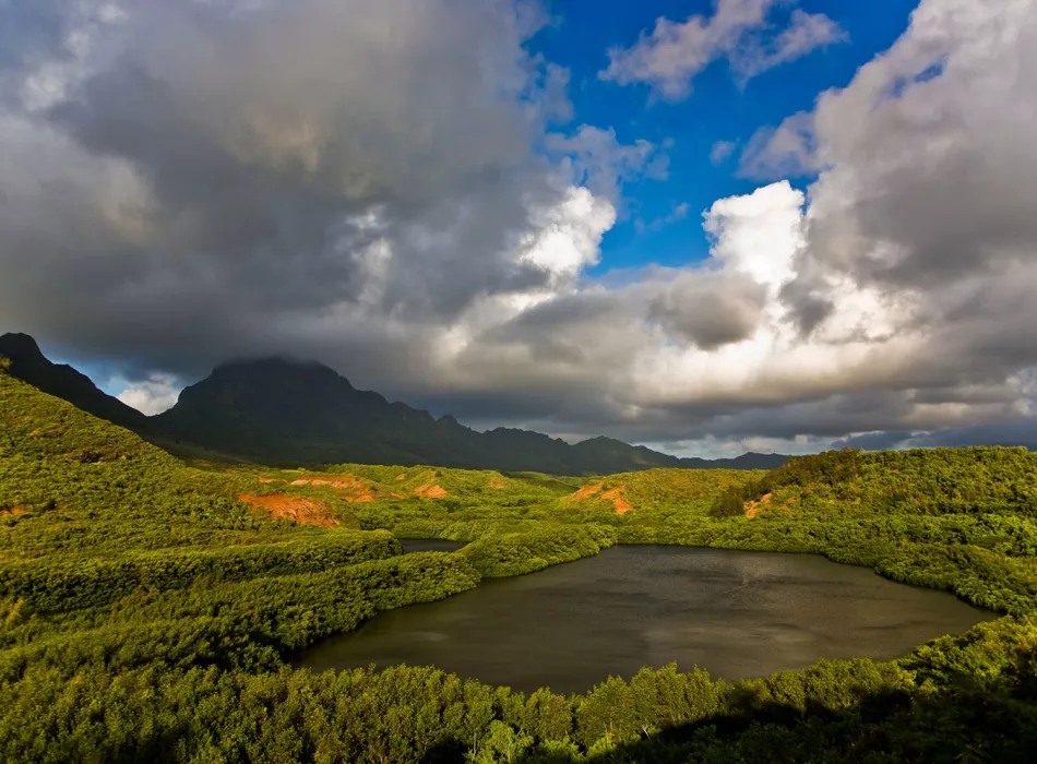 Lush green trees surrounding Menehune Fishpond