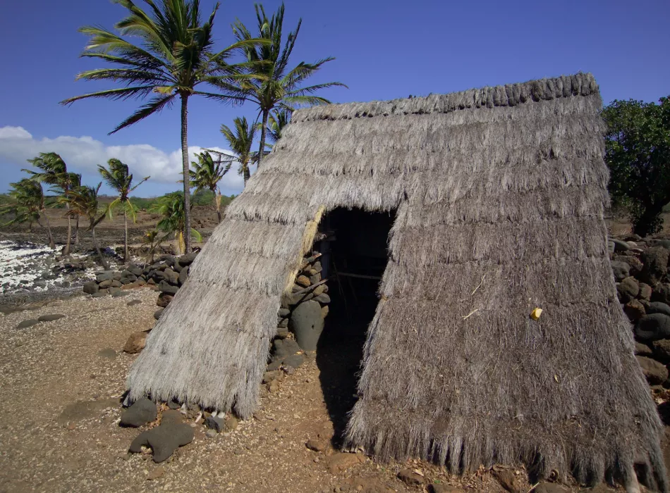 Traditional Hawaiian thatched hut at Lapakahi State Historical Park, surrounded by rocky terrain, palm trees, and a clear blue sky.