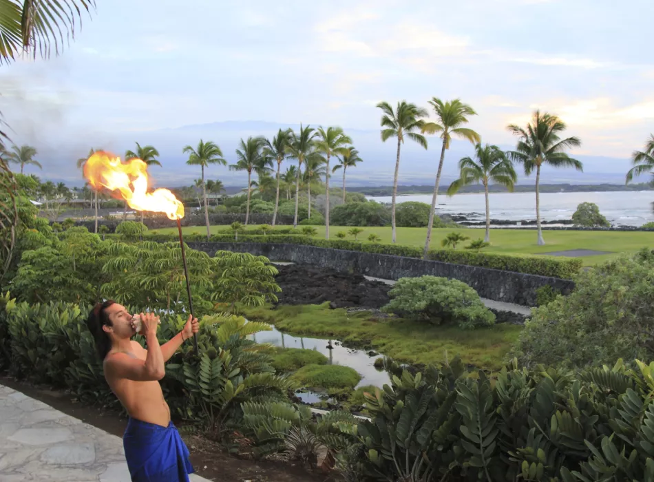 Luau