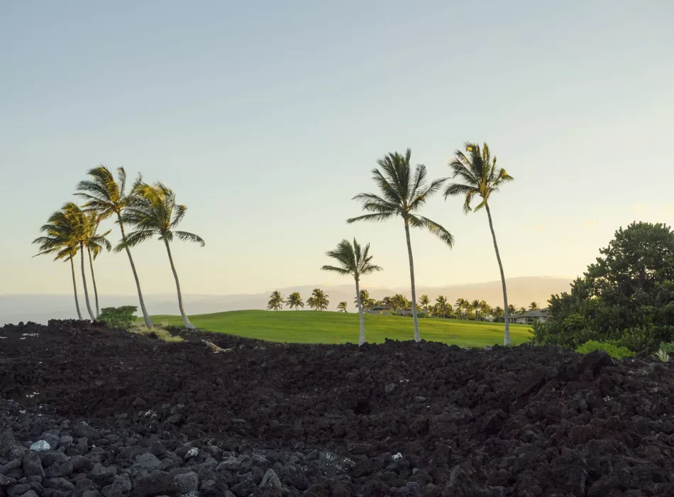 Golf course with lush greenery and palm trees set against a backdrop of volcanic lava rocks and a serene sunset sky.