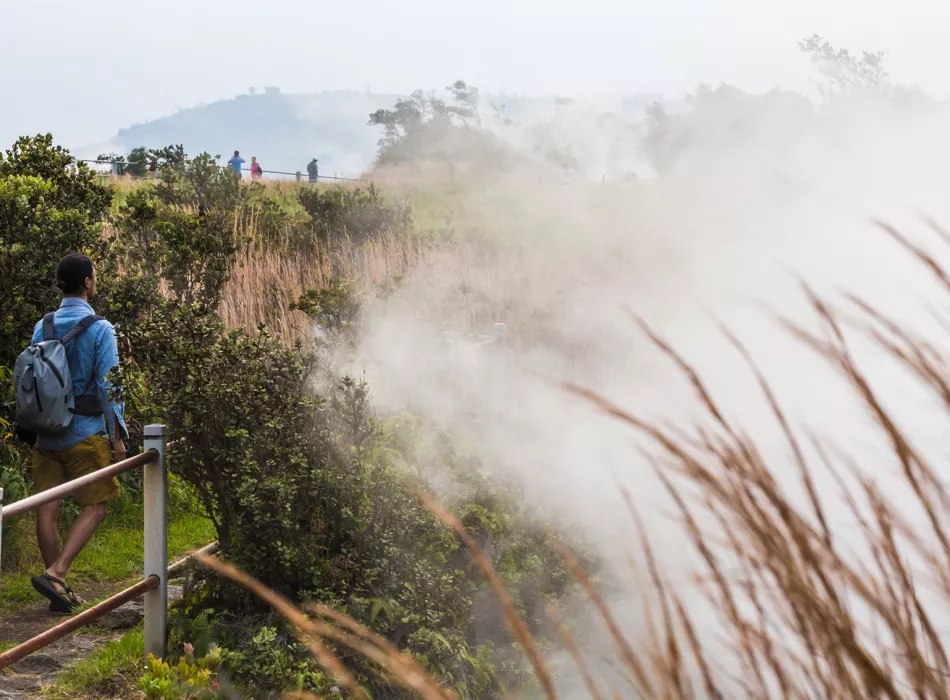 A misty landscape with steam rising from the ground, lush greenery, and hikers walking along a trail with a wooden railing in the foreground.