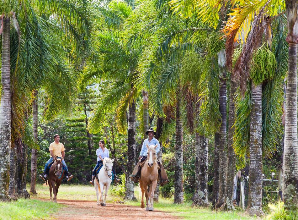 Horseback riding on Kauai