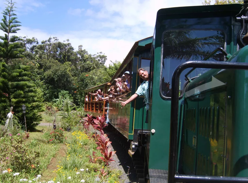 A green plantation train with passengers leaning out, surrounded by lush tropical plants and trees.