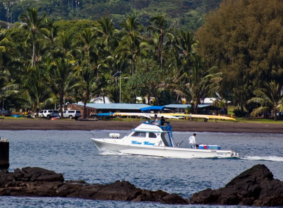 Deep Sea Fishing
