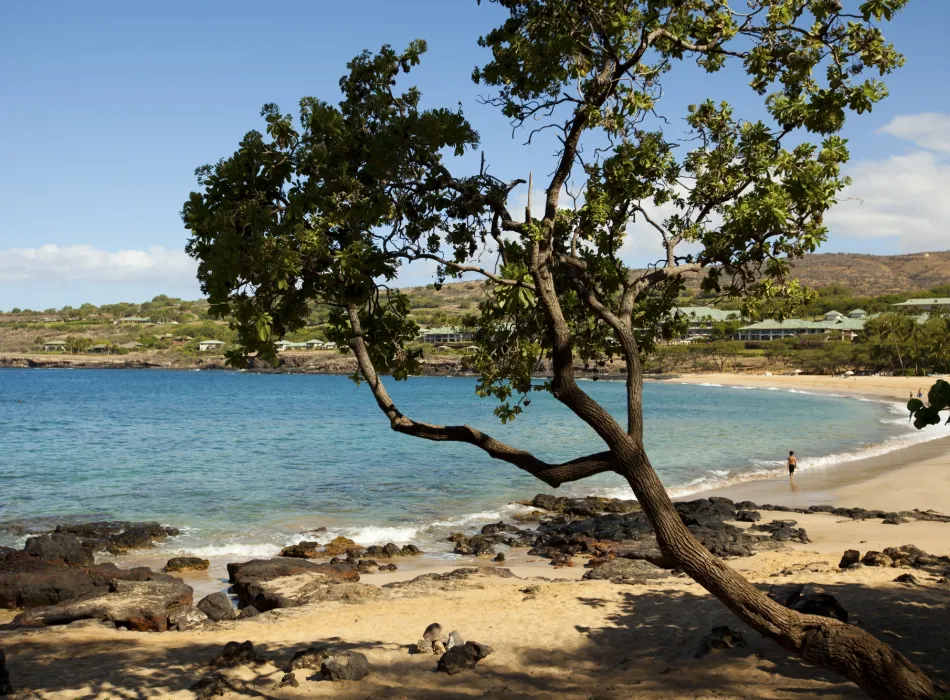 Beaches on Lānaʻi