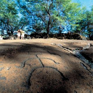 Puakō Petroglyph Archeological Preserve Puako Petroglyph Archeological Preserve