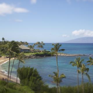 Kapalua