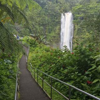 Akaka Falls State Park