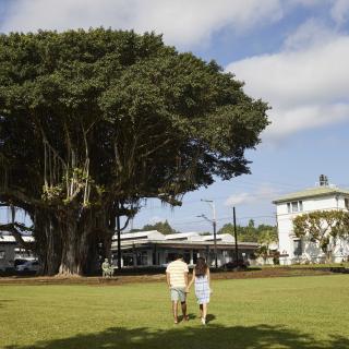 Hilo - Island of Hawaii