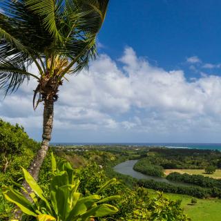 East Side (Coconut Coast) The East Side of Kauai known as the Royal Coconut Coast