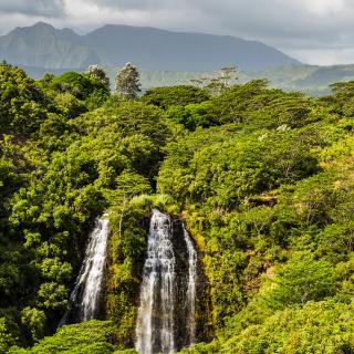 ʻŌpaekaʻa Falls Opaekaa Falls