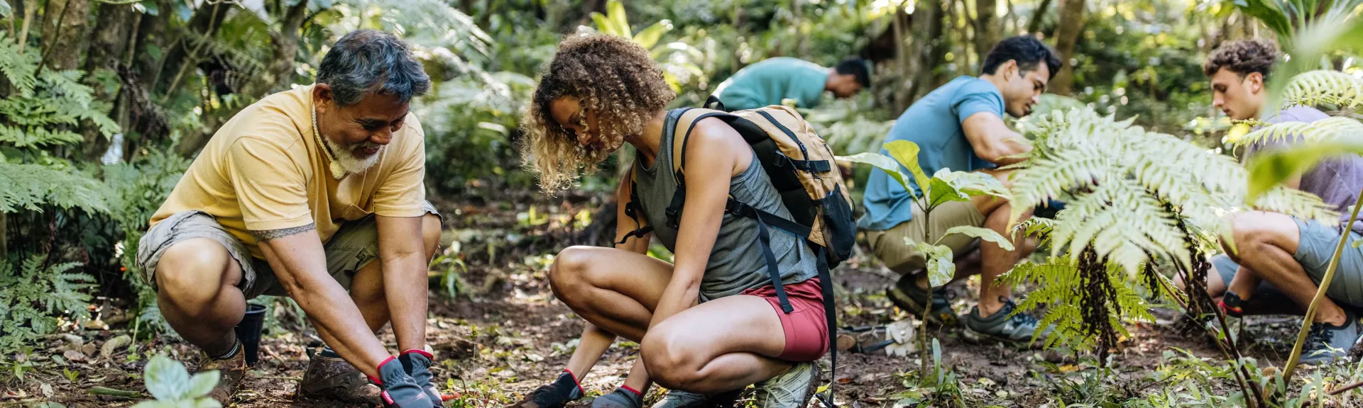Volunteers planting on the Hawaiian Islands - Malama Hawaii