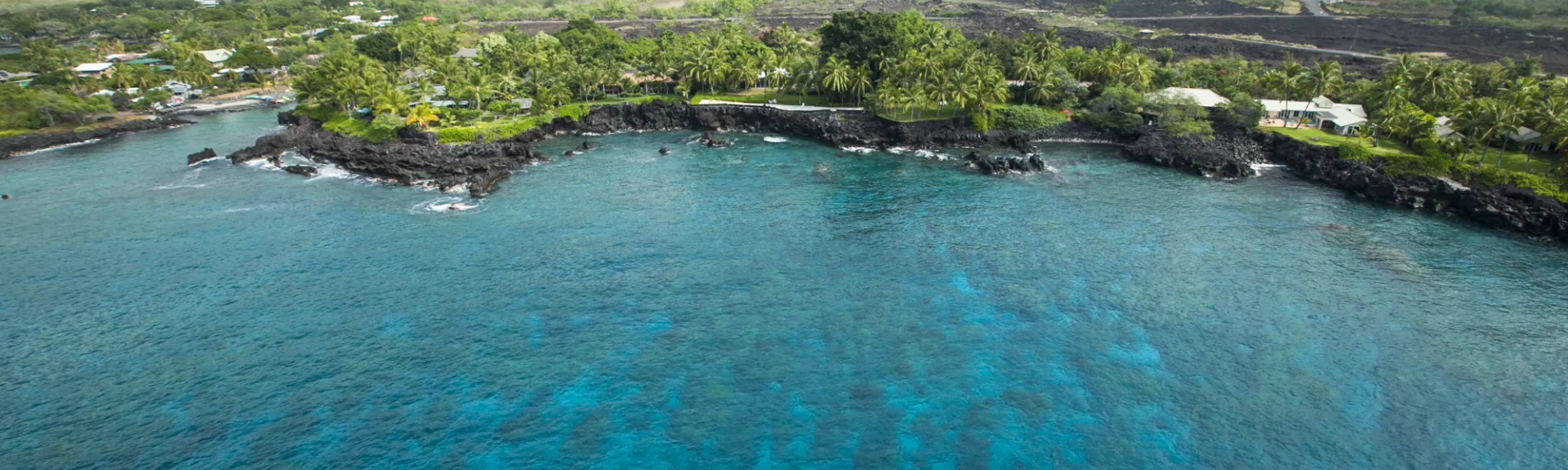 Coastline with trees